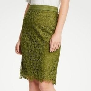 Ann Taylor Olive Lace Pencil Skirt